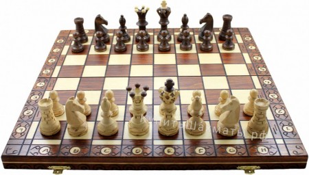 Шахматный турнир в честь Дня России