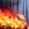 ЧС в лесах на Дальнем Востоке: лесопожарная обстановка «крайне негативная»