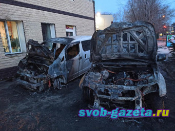 В ночь на 13 апреля сожгли машины двух депутатов от ЛДПР