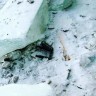 В ледяном городке Свободного «порезвились» вандалы (фото)